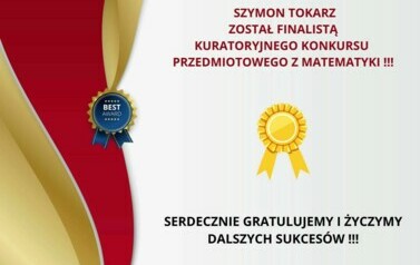 Dark Red and Gold Professional Certificate of Achievement (4)