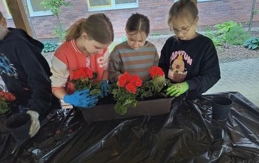 IMG_20260520_134419823_HDR