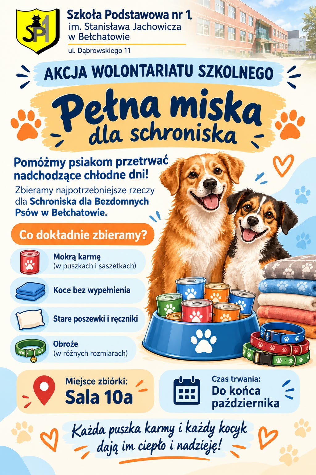 schronisko_wolontariat
