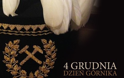 Zdjęcie do Dzień G&oacute;rnika