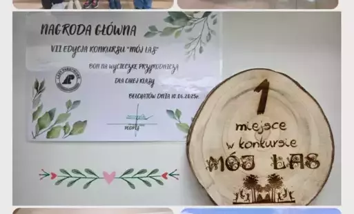 Zdjęcie do Wyniki konkursu &quot;M&oacute;j Las&quot;